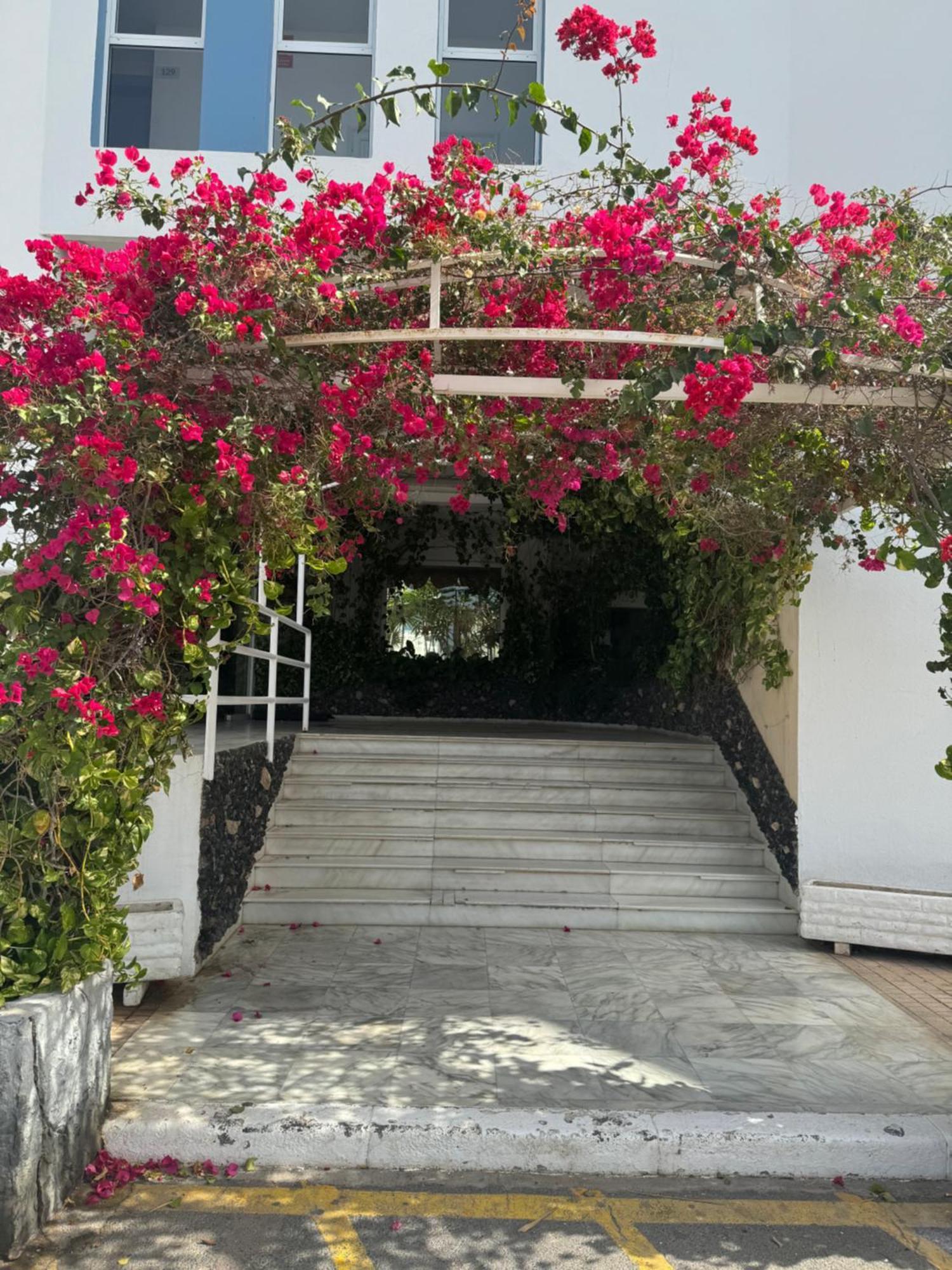 Island Paradise At Green Park San Miguel de Abona Eksteriør bilde